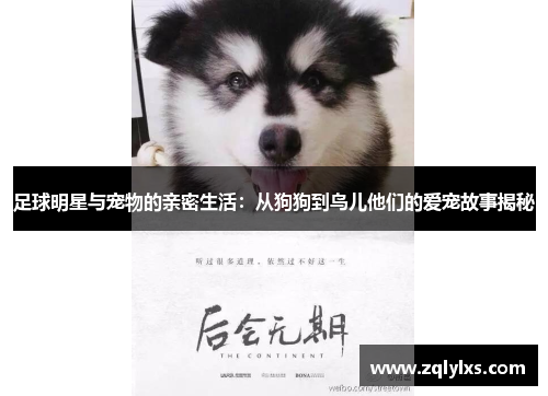 足球明星与宠物的亲密生活：从狗狗到鸟儿他们的爱宠故事揭秘