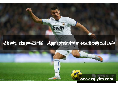 英格兰足球明星戴维斯：从青年才俊到世界顶级球员的奋斗历程