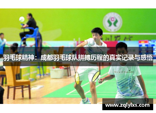 羽毛球精神：成都羽毛球队拼搏历程的真实记录与感悟