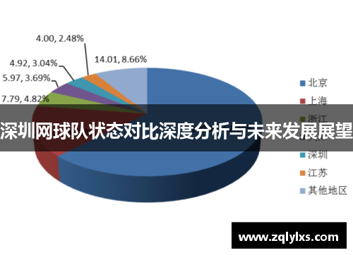 深圳网球队状态对比深度分析与未来发展展望
