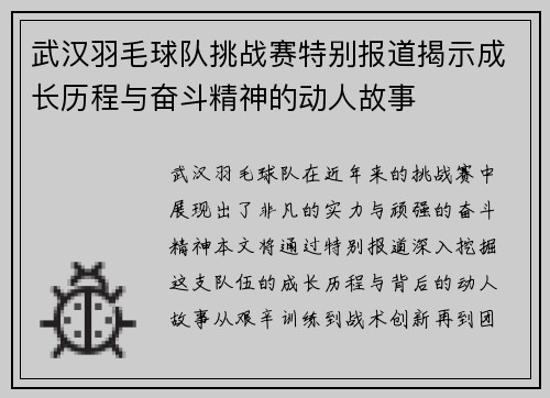 武汉羽毛球队挑战赛特别报道揭示成长历程与奋斗精神的动人故事
